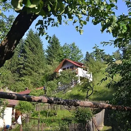Cabana Vanatorilor Poiana Marului  Exterior photo