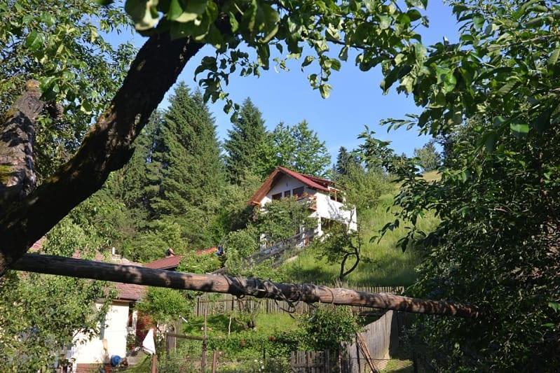 Vanatorilor Poiana Marului (Brasov)