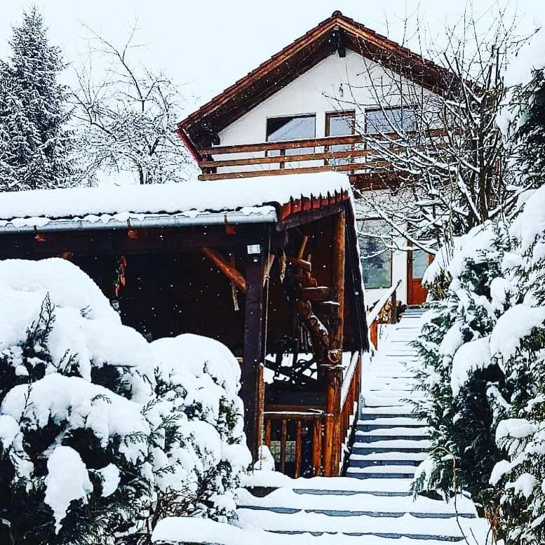 Holiday home Vanatorilor *