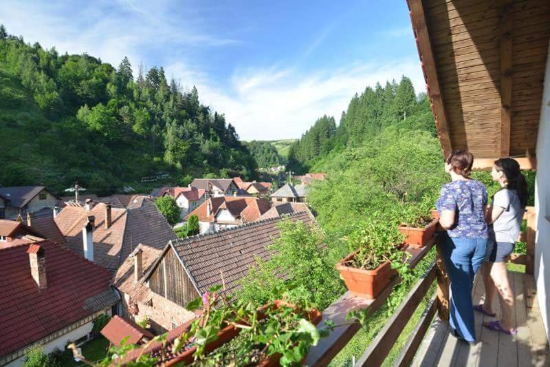 Vanatorilor Holiday home