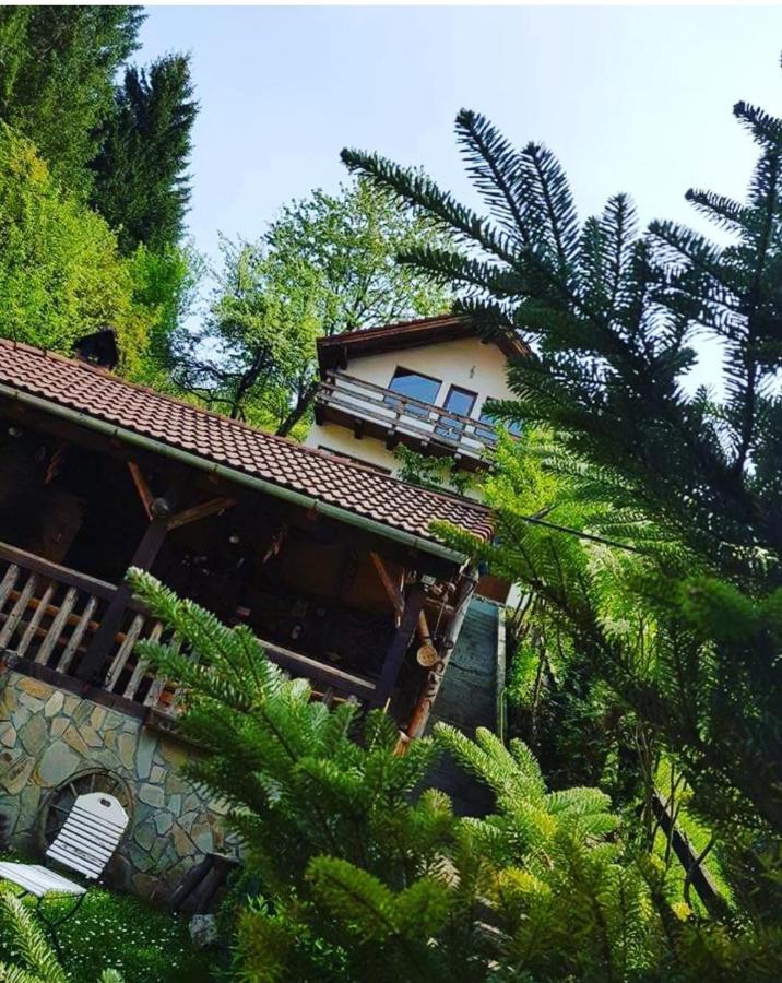 Holiday home Vanatorilor