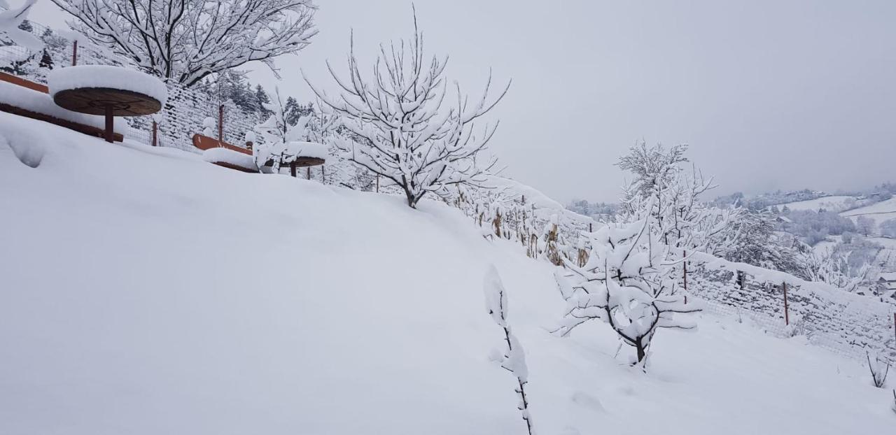 Vanatorilor Holiday home Poiana Marului (Brasov)