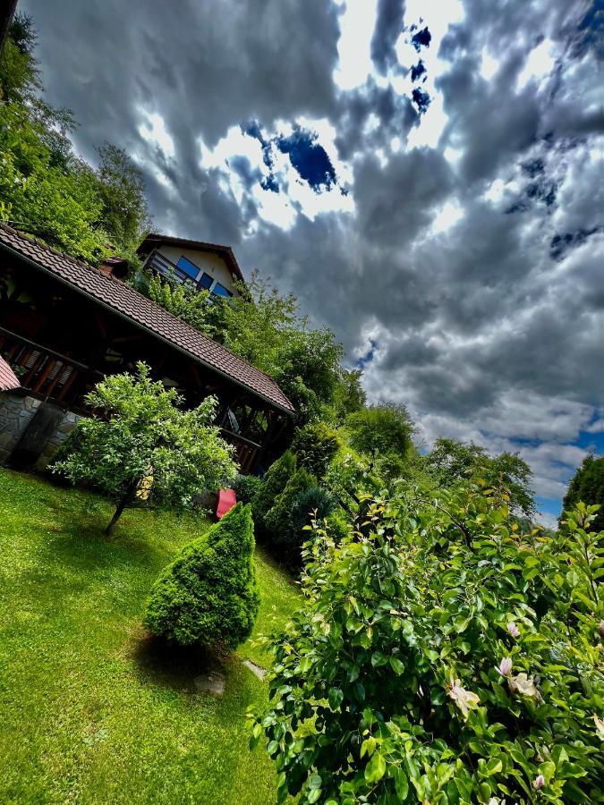 Holiday home Vanatorilor