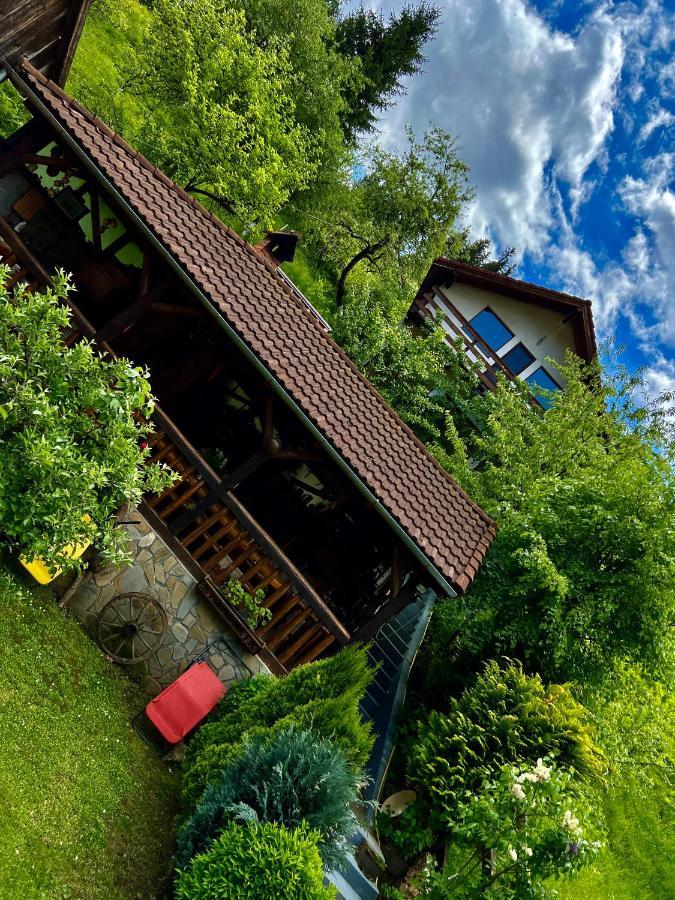 Vanatorilor Holiday home *